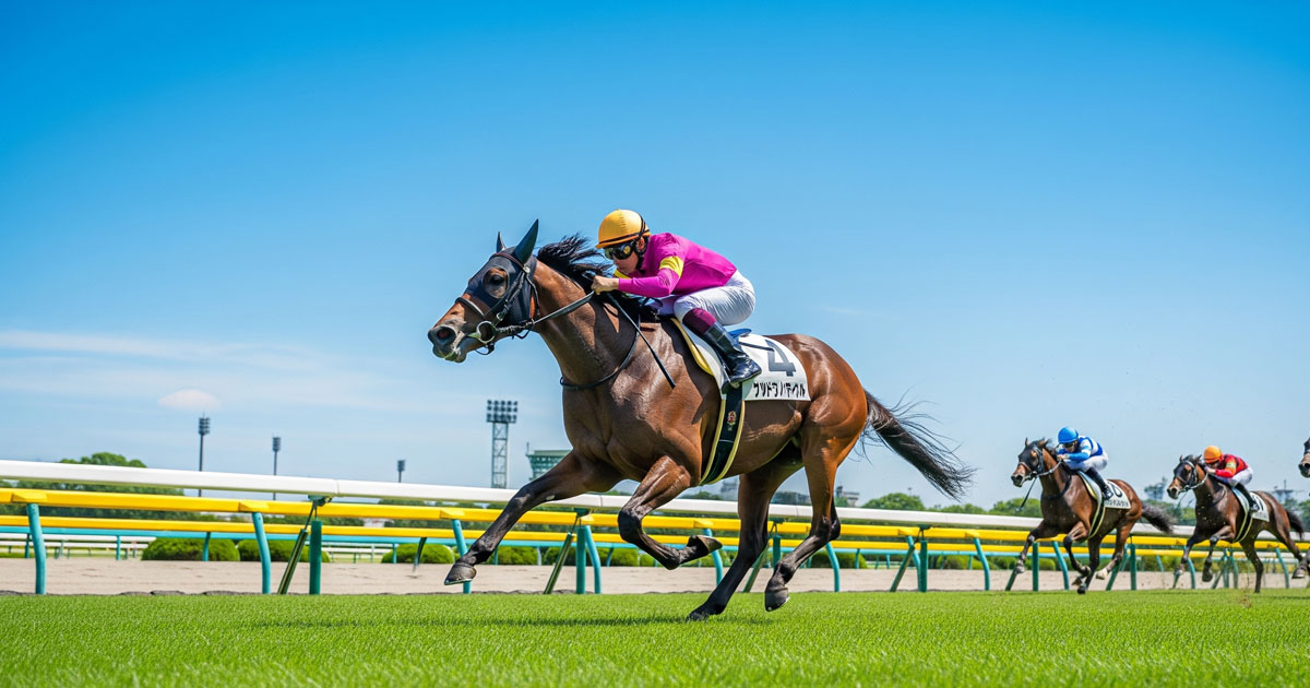 競馬場の芝コースを疾走するサラブレッドと騎手のリアルなレースシーン、青空と緑の芝生が映える競馬クッション値解説記事のアイキャッチ画像