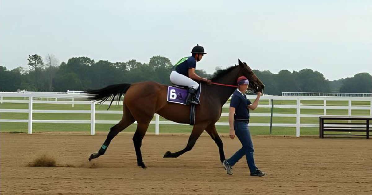 競馬の調教現場で騎手が合図し馬が手前を替えるトレーニング風景
